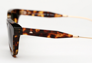 OLIVER PEOPLES CABRILLO IN CLASSIC TORTOISE — NO SEASON LOS ANGELES